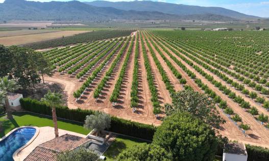 Bestaand - Finca - Yecla