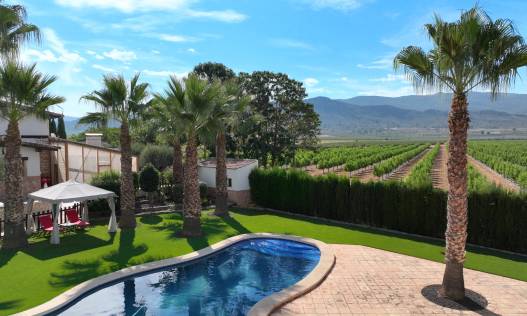 Bestaand - Finca - Yecla