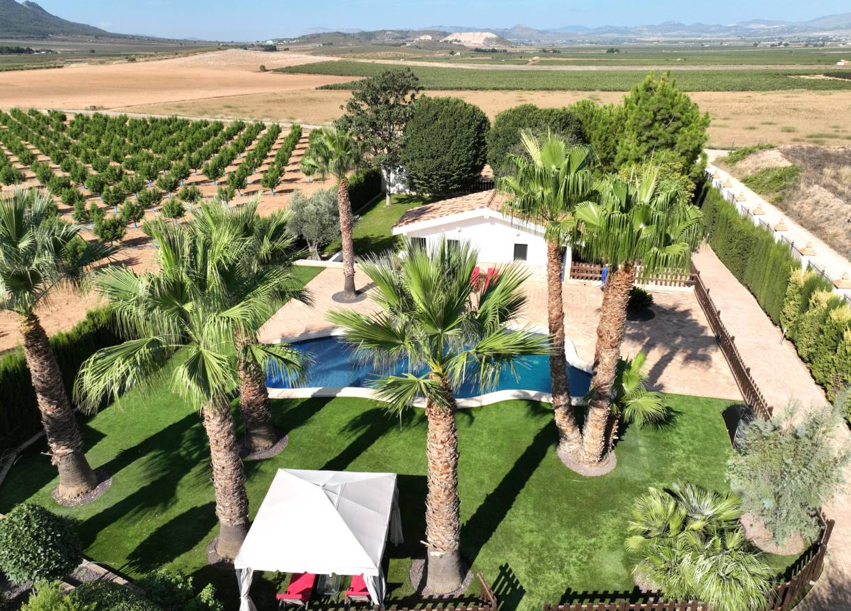 Bestaand - Finca - Yecla
