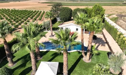 Bestaand - Finca - Yecla