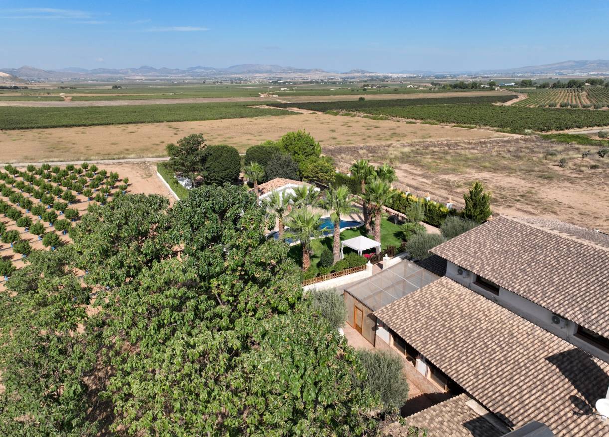 Bestaand - Finca - Yecla