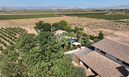 Bestaand - Finca - Yecla