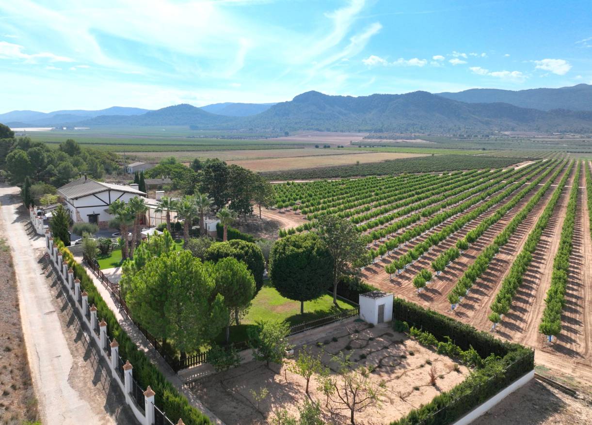 Bestaand - Finca - Yecla