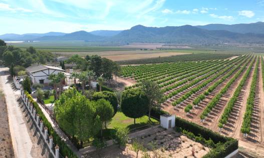 Bestaand - Finca - Yecla