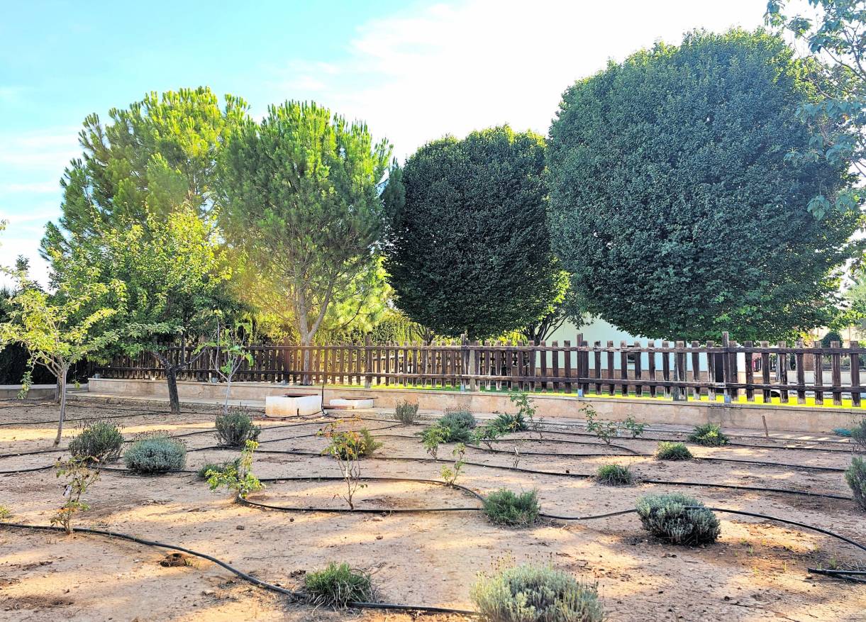 Bestaand - Finca - Yecla