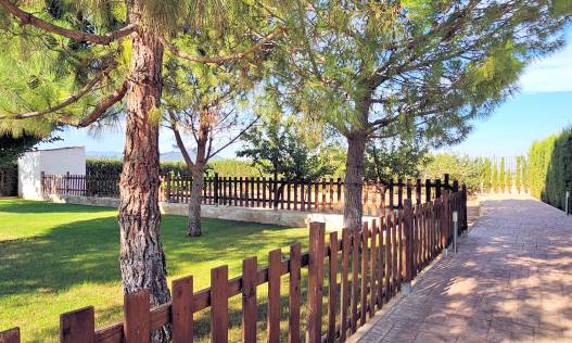Bestaand - Finca - Yecla