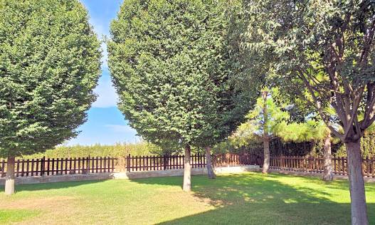 Bestaand - Finca - Yecla