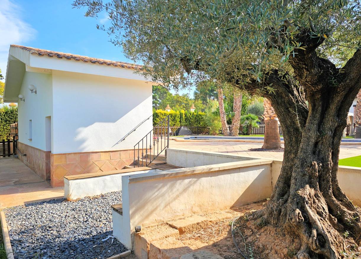 Bestaand - Finca - Yecla