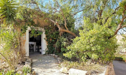 Bestaand - Finca - Canada Del Trigo