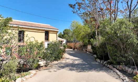 Bestaand - Finca - Canada Del Trigo