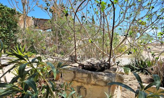 Bestaand - Finca - Canada Del Trigo