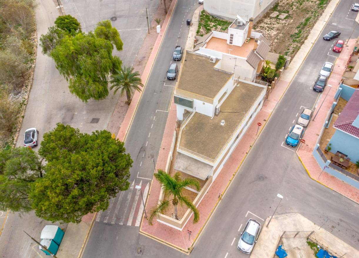 Bestaand - Villa - Rojales