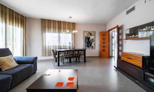 Bestaand - Villa - Rojales