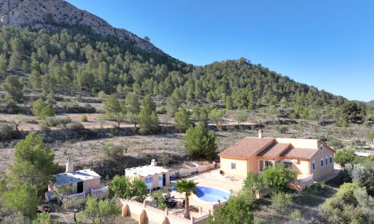 Bestaand - Villa - La Zarza