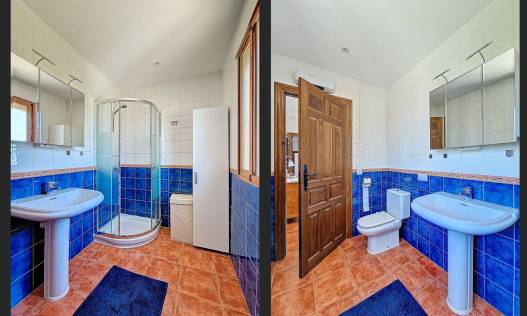 Bestaand - Finca - Fortuna