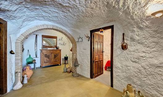 Bestaand - Finca - Fortuna