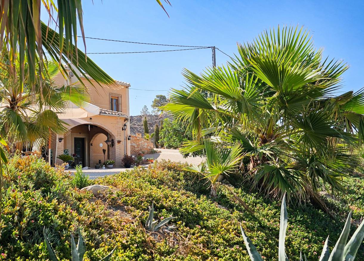 Bestaand - Finca - Fortuna
