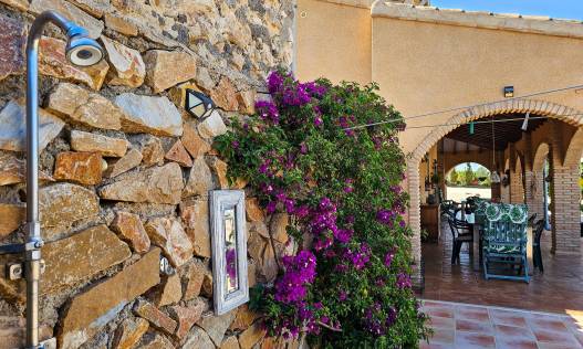 Bestaand - Finca - Fortuna