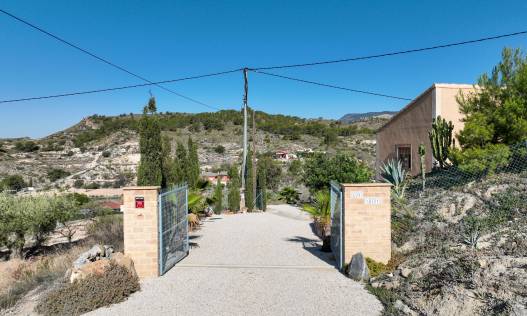 Bestaand - Finca - Fortuna