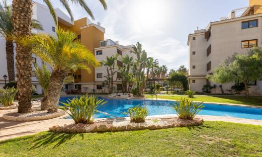 Bestaand - Appartement - Punta Prima
