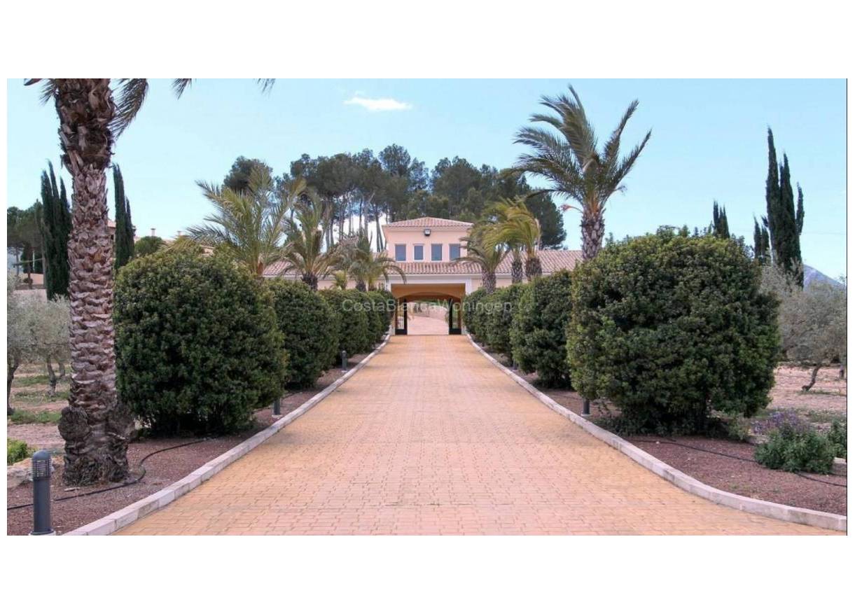 Bestaand - Finca - Penàguila