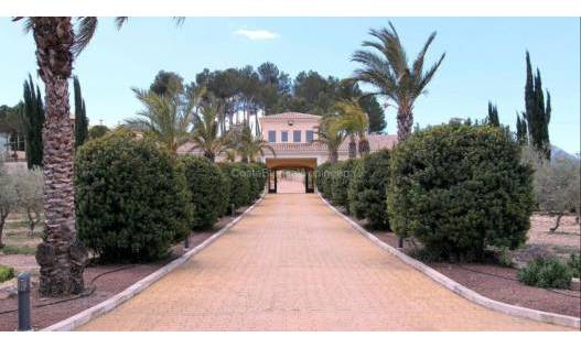 Bestaand - Finca - Penàguila