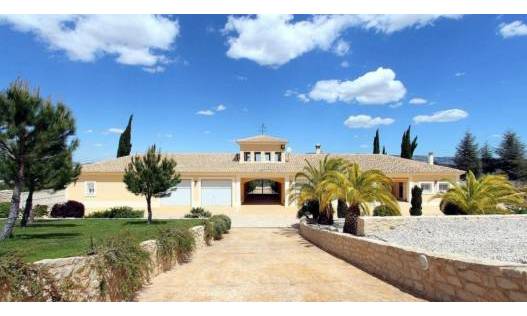 Bestaand - Finca - Penàguila