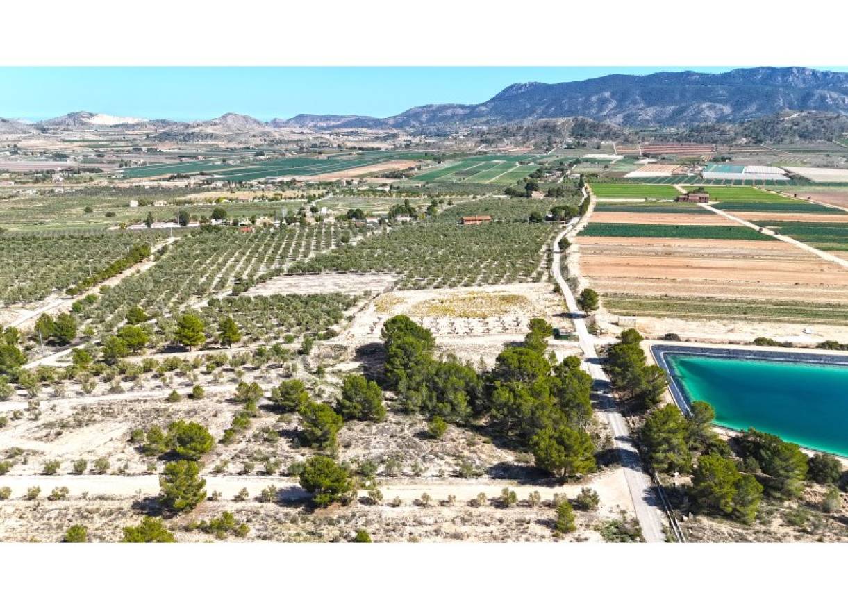 Bestaand - Bouwperceel - Hondón de las Nieves - Hondón de las Nieves / el Fondó de les Neus