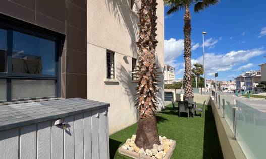Bestaand - Appartement - Pilar de la Horadada - Mil palmeras