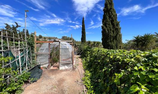 Bestaand - Finca Country Property - Cartagena