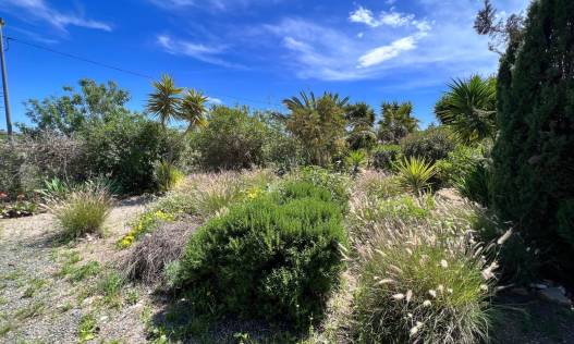 Bestaand - Finca Country Property - Cartagena