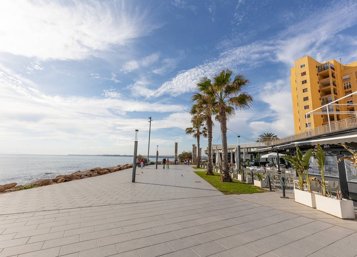 Bestaand - Appartement - Torrevieja - Playa de los locos