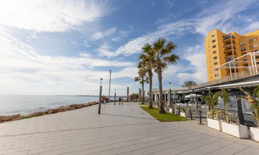 Bestaand - Appartement - Torrevieja - Playa de los locos