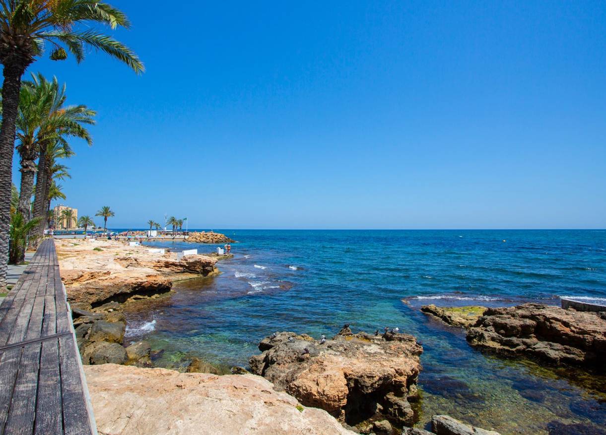 Bestaand - Appartement - Torrevieja - Playa de los locos
