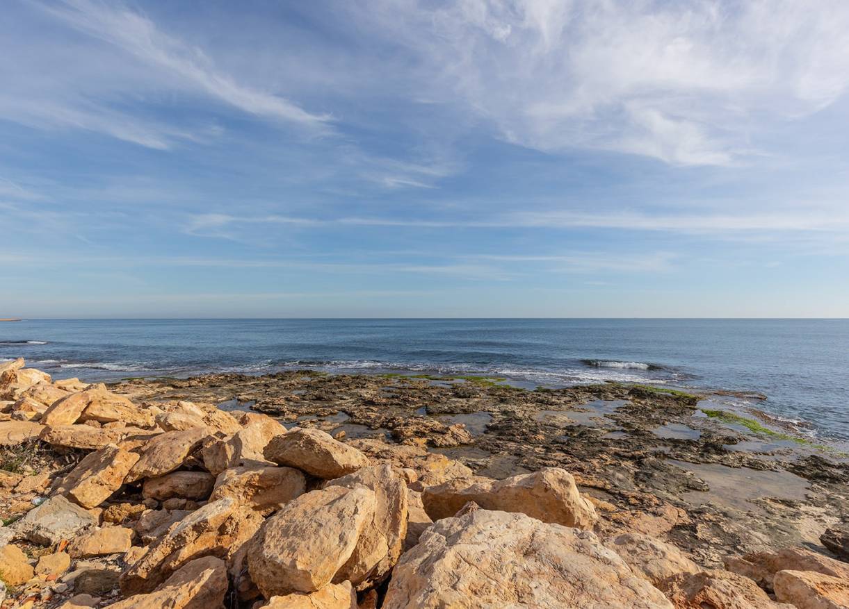 Bestaand - Appartement - Torrevieja - Playa de los locos