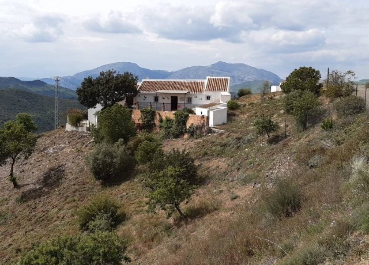 Bestaand - Villa - Almogía