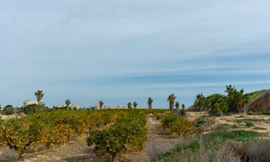 Bestaand - Villa - Torrevieja