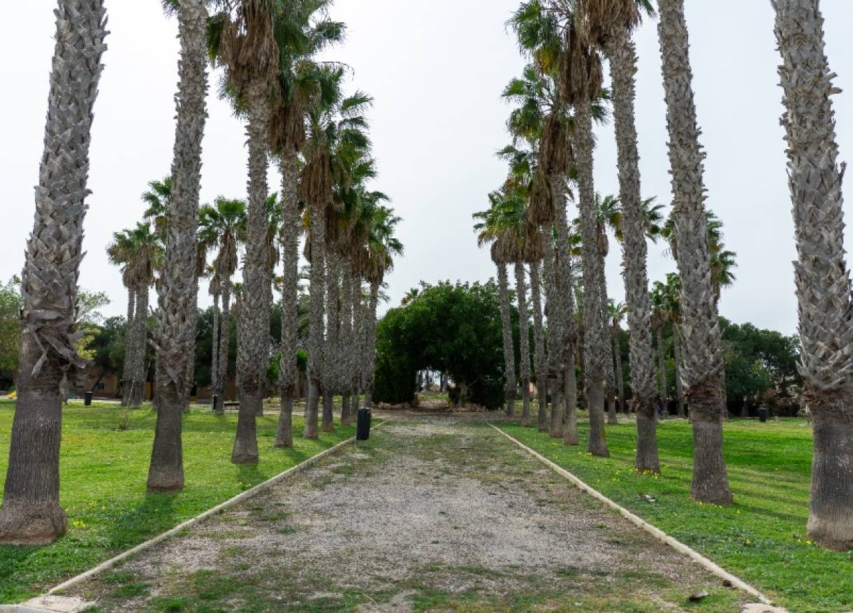 Bestaand - Villa - Torrevieja