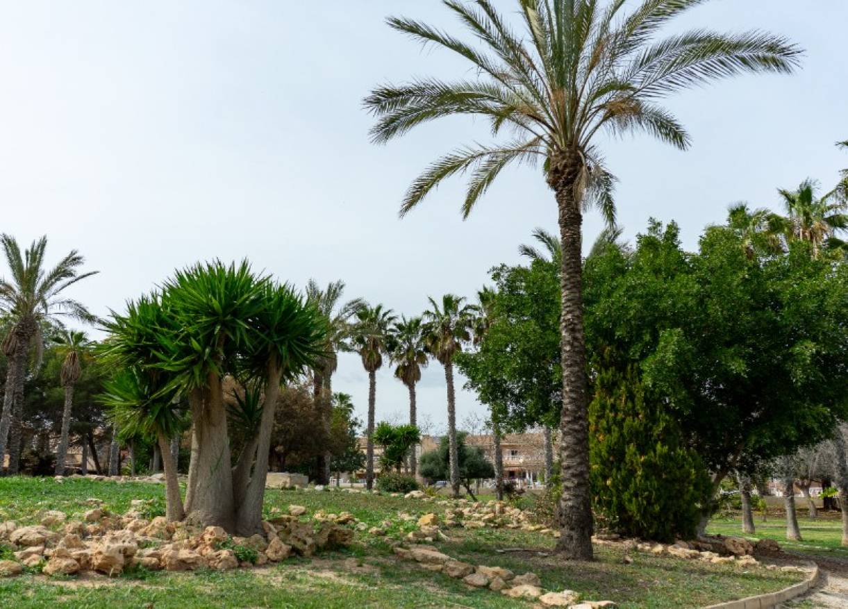 Bestaand - Villa - Torrevieja