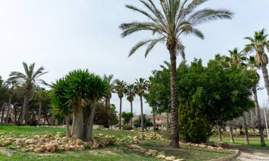 Bestaand - Villa - Torrevieja
