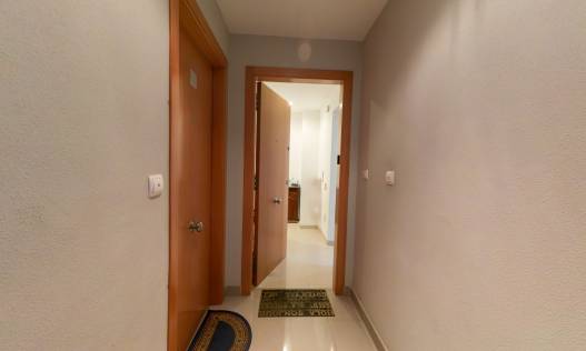 Bestaand - Appartement - Torrevieja - Playa de Los Locos-Curva del Palangre