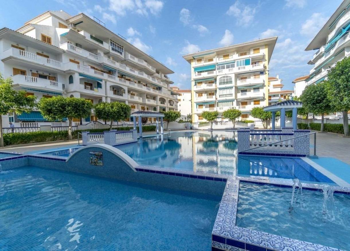 Bestaand - Appartement - Torrevieja - Los Europeos