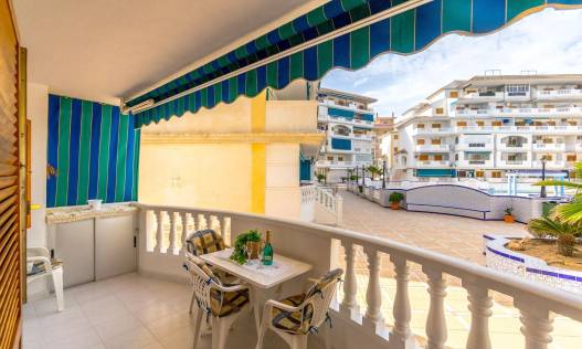 Bestaand - Appartement - Torrevieja - Los Europeos