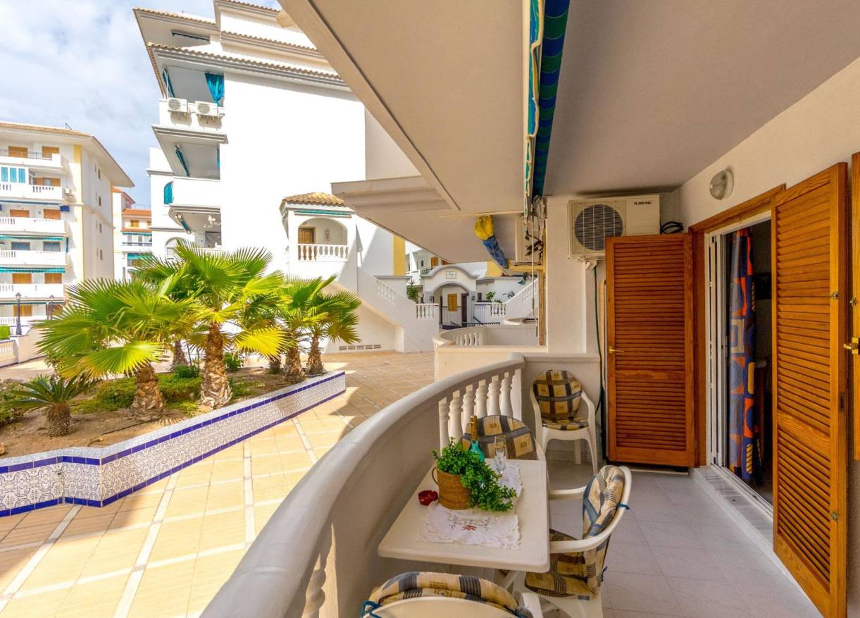 Bestaand - Appartement - Torrevieja - Los Europeos