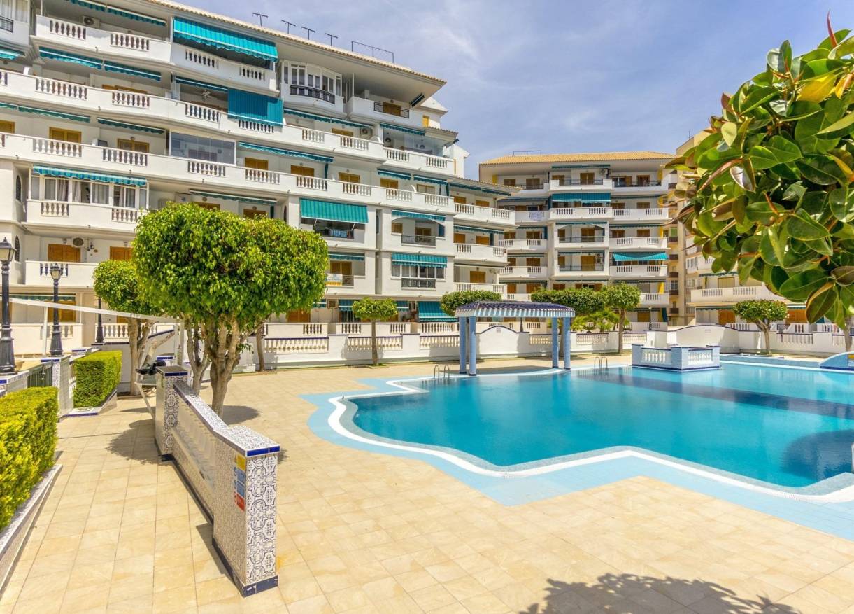 Bestaand - Appartement - Torrevieja - Los Europeos