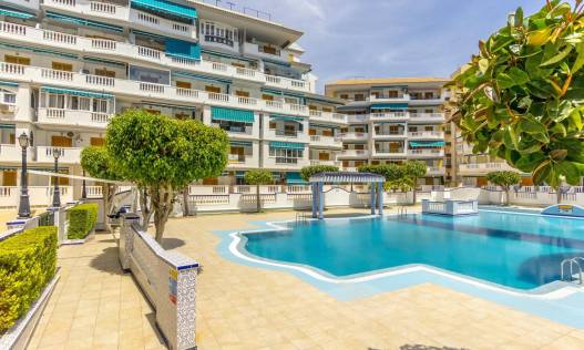 Bestaand - Appartement - Torrevieja - Los Europeos