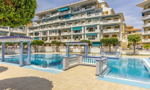 Bestaand - Appartement - Torrevieja - Los Europeos
