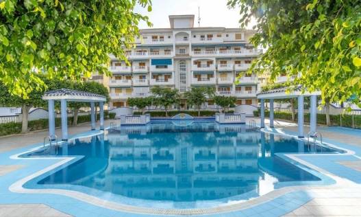 Bestaand - Appartement - Torrevieja - Los Europeos