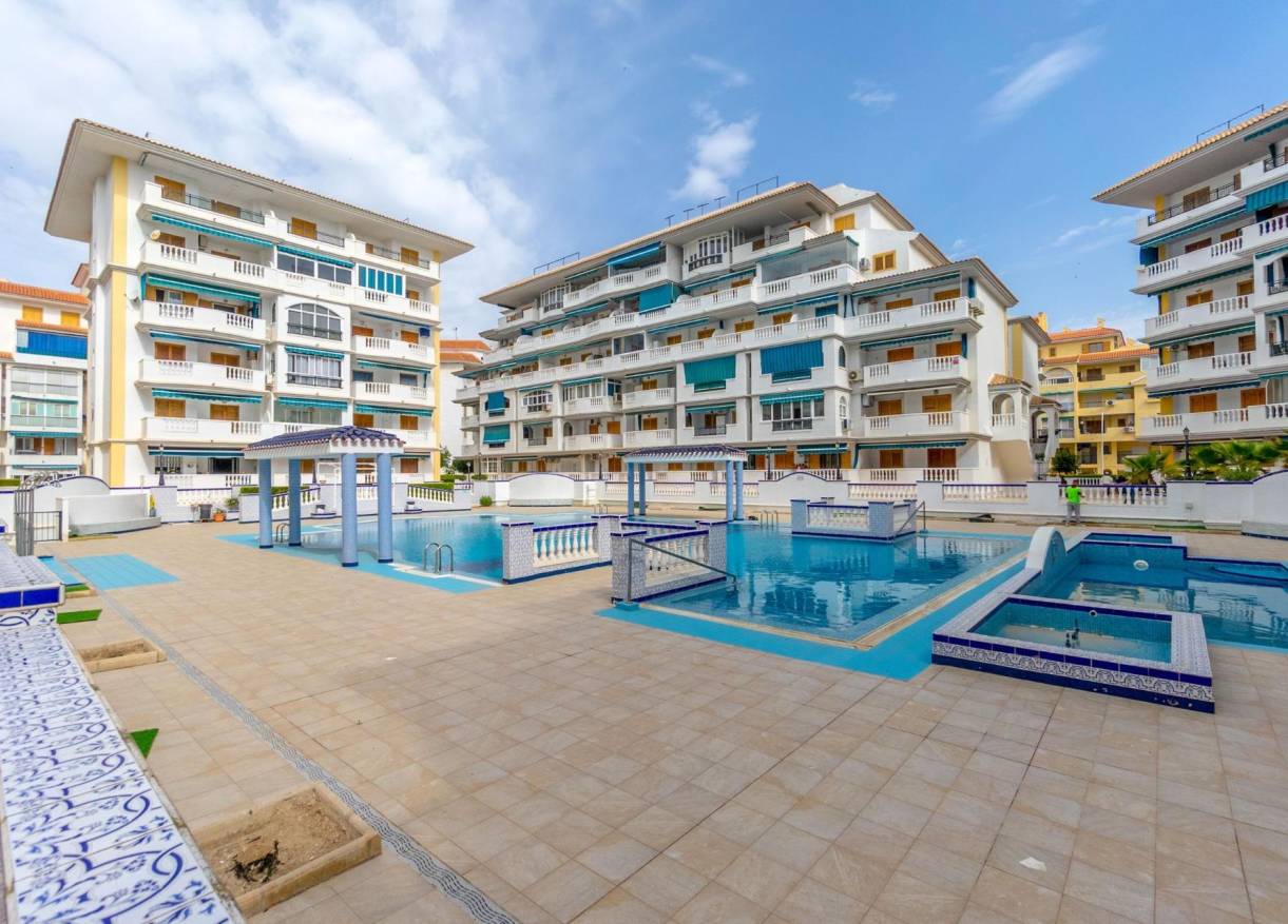 Bestaand - Appartement - Torrevieja - Los Europeos