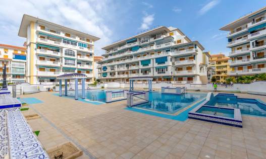Bestaand - Appartement - Torrevieja - Los Europeos